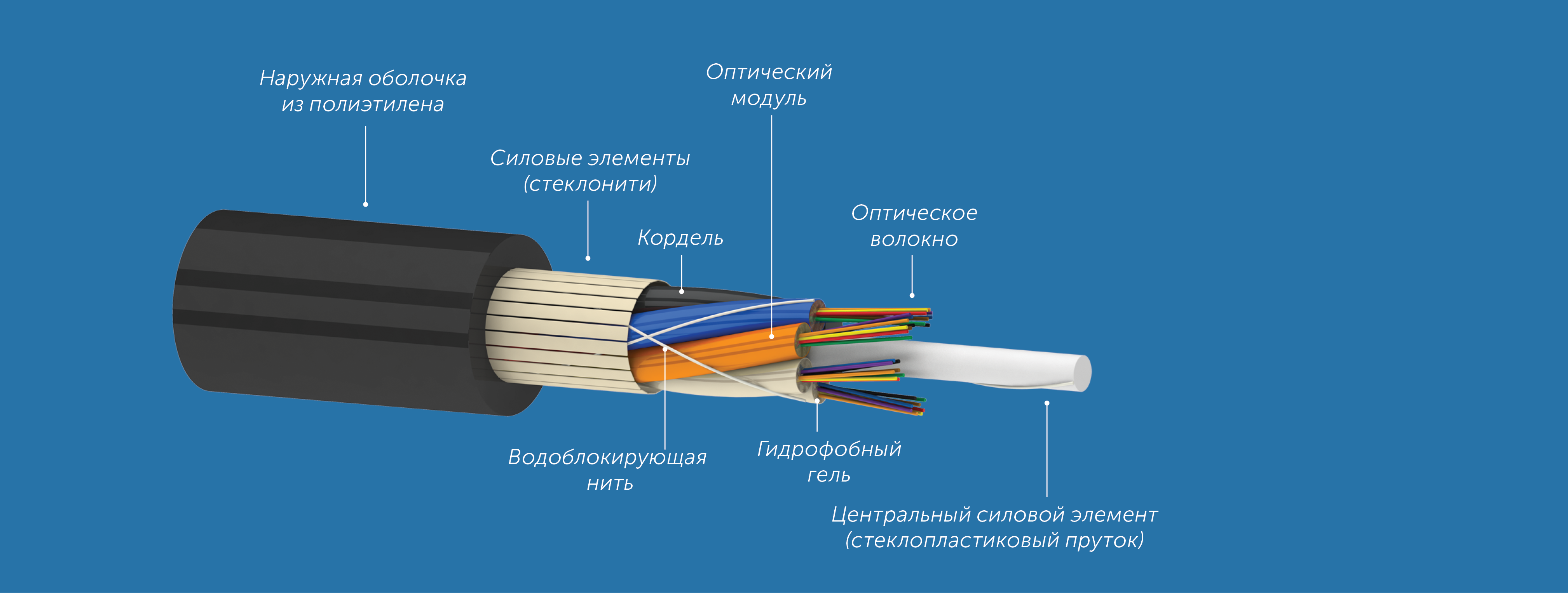 b0a565b9d2e311e980bd000c29d70fd6_c50203983c1311ec80dd000c29d70fd6