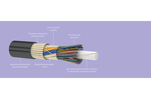 3e7510bcd2f611e980bd000c29d70fd6_b9101fd53c1311ec80dd000c29d70fd6